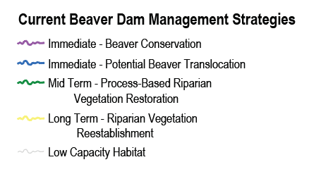 Legend_BRAT_Current_Beaver_Dam_Management_Strategies