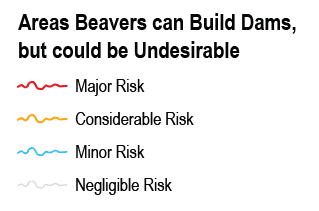 Legend_BRAT Management Areas Beavers Can Build Dams, but Could Be Undesirable