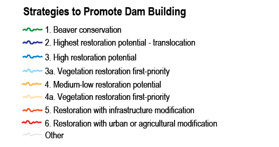 Legend_BRAT_Strategies_to_Promote_Dam_Building